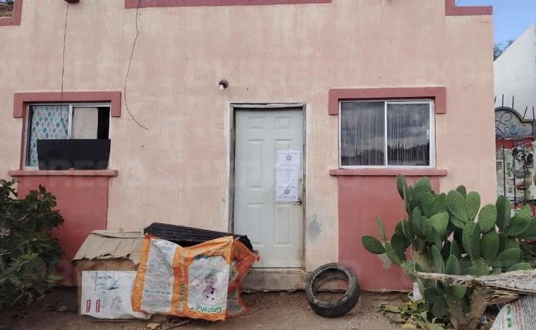 Rescatan 54 perritos en condición de maltrato en Nogales, Sonora (20/08/2025). Foto: Especial