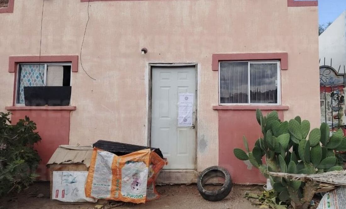 Rescatan 54 perritos en condición de maltrato en Nogales, Sonora (20/08/2025). Foto: Especial