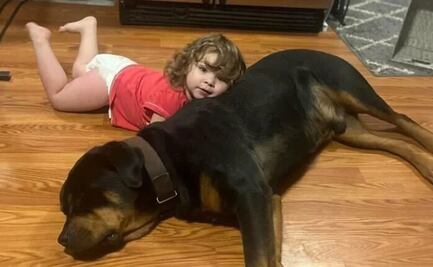 Encuentran a niña perdida en el bosque dormida y usando a su perro de almohada