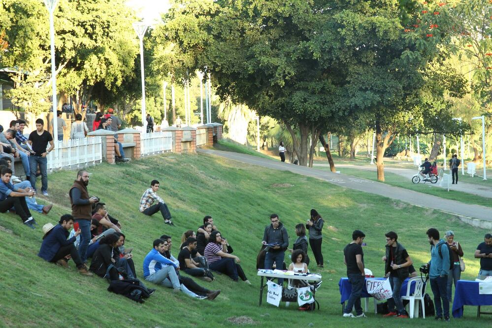Foto: Cortesía de “Sinaloa verde de a devis”