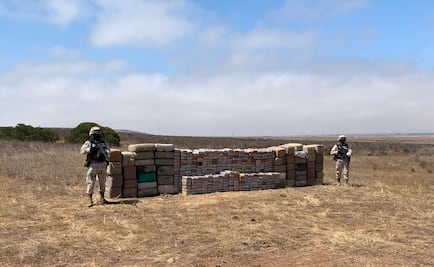 Sedena asegura casi una tonelada de marihuana en Ensenada, Baja California