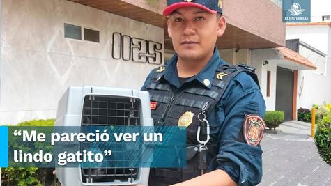 Policías hacen boquete para rescatar a michi atrapado en una tubería  