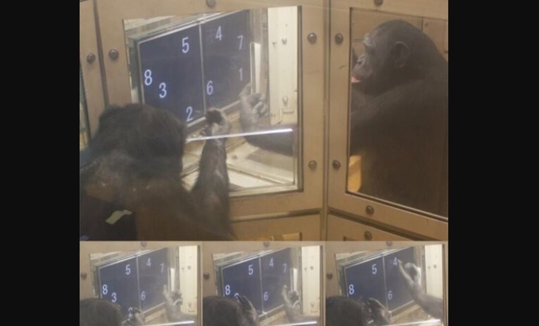 Foto: Universidad de Oxford vía Europa Press