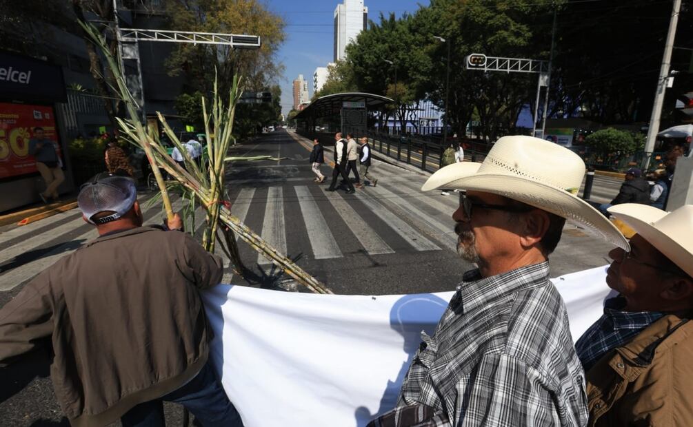 Cañeros de diversos estados se manifiestan cerrando los cruces de las avenidas Eje 7 Sur Municipio Libre y Av. Cuauhtémoc en la colonia Santa Cruz Atoyac en la alcaldía Benito Juárez (11/11/2025). Foto: Francisco Rodríguez / EL UNIVERSAL