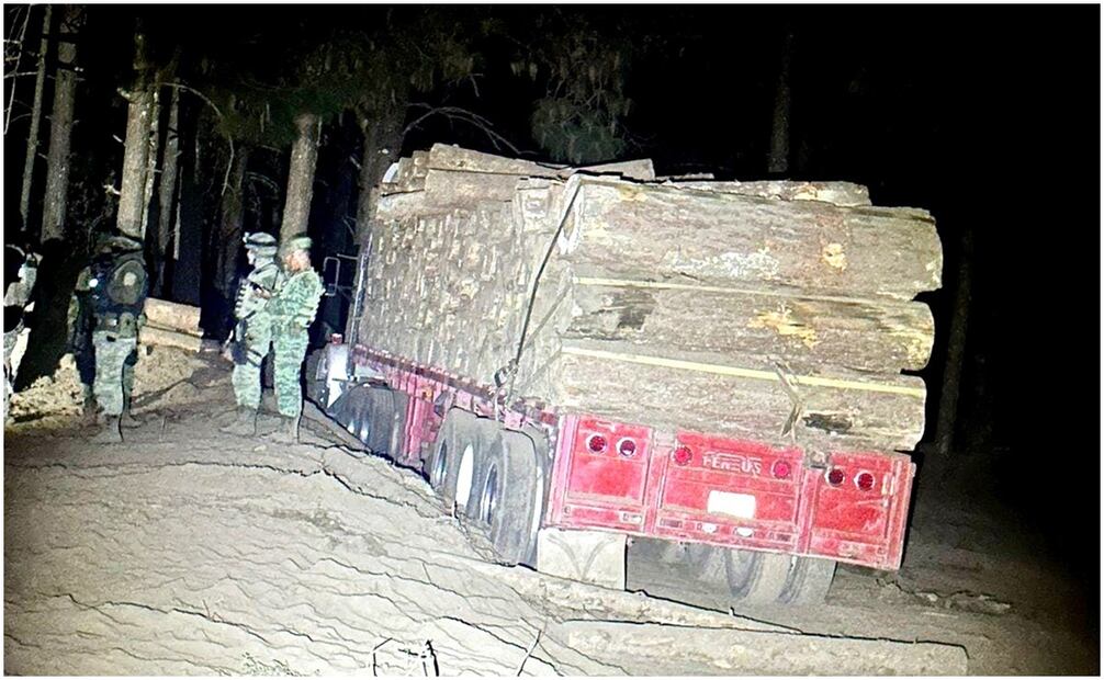 Tala de árboles. Foto: Especial