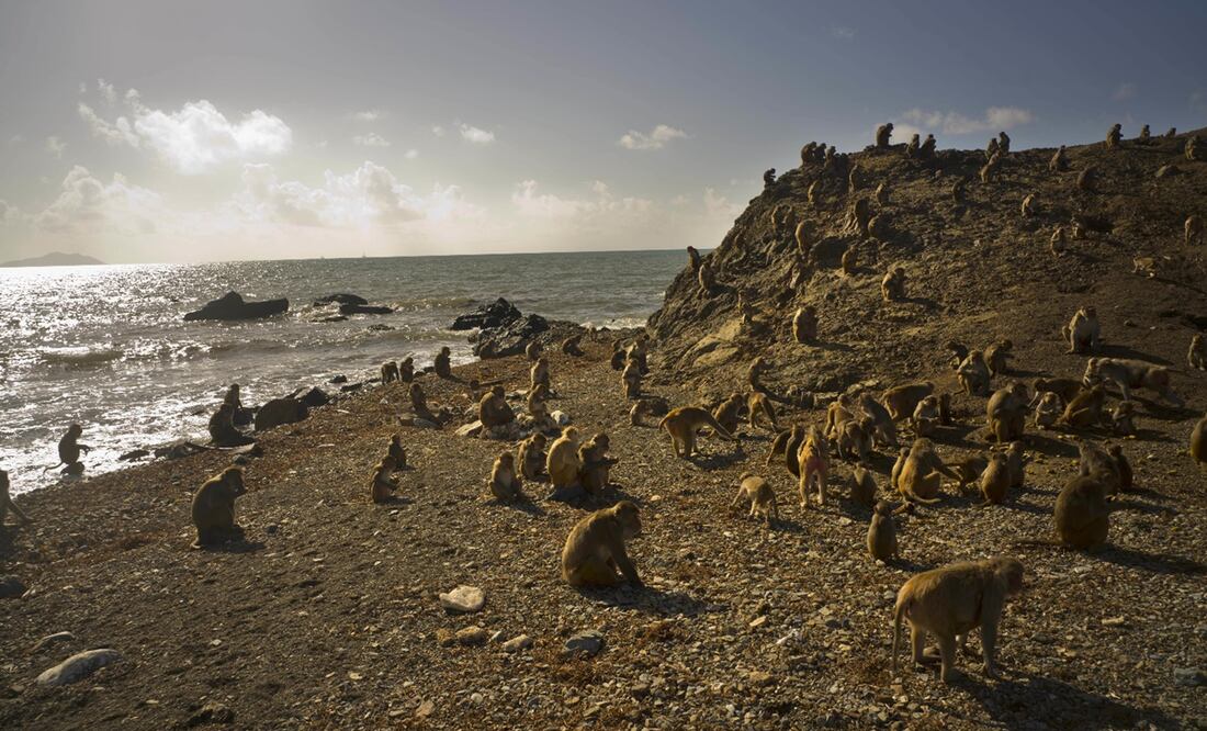 Foto: AP Photo/Ramon Espinosa, archivo