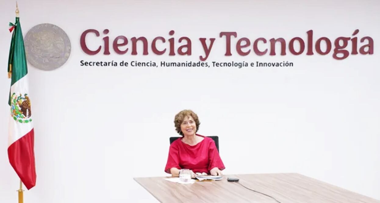 Rosaura Ruiz Gutiérrez, secretaria de laSecretaría de Ciencia, Humanidades, Tecnología e Innovación (Secihti).
Foto: Instagram, vía @secihti_mx