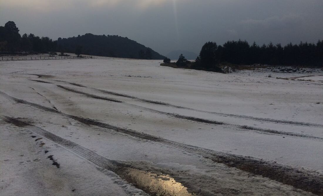 Foto: Justino Miranda / EL UNIVERSAL