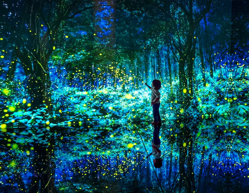 Santuario de las luciérnagas, en una de las salas inmersivas de Mystika. Fotos: Cortesía Mystika 