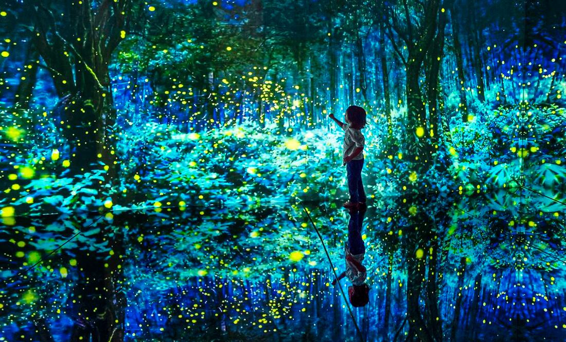 Santuario de las luciérnagas, en una de las salas inmersivas de Mystika. Fotos: Cortesía Mystika