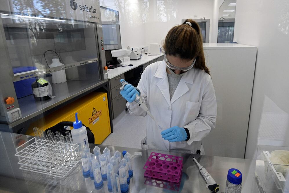 Investigaciones acerca de tratamientos antiCovid- Foto: AFP / Juan Mabromata, archivo