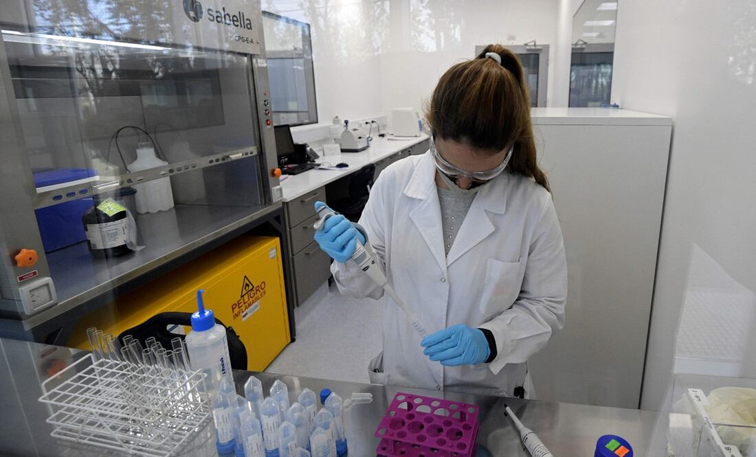 Investigaciones acerca de tratamientos antiCovid- Foto: AFP / Juan Mabromata, archivo