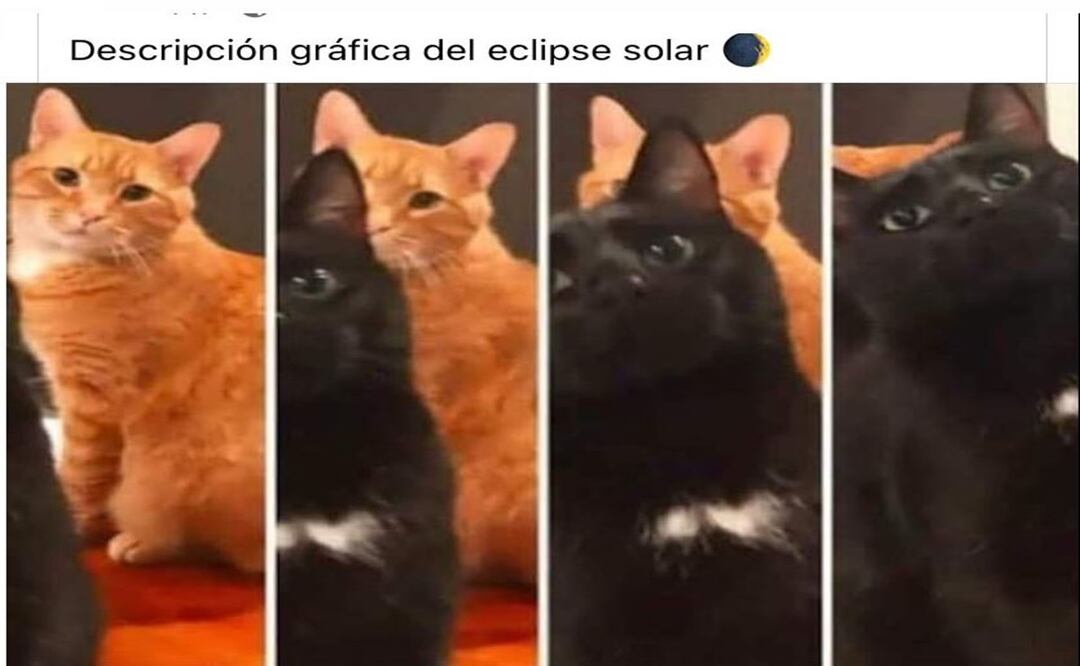 Memes del eclipse solar parcial. 
Foto: Captura de pantalla