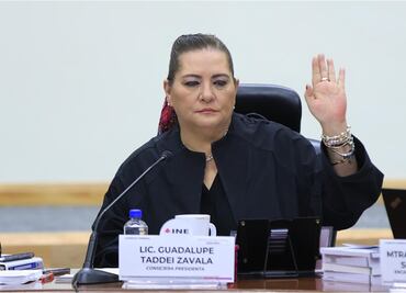 "Ninguna amenaza es bienvenida"; rechaza Taddei dichos sobre juicio político contra consejeros del INE