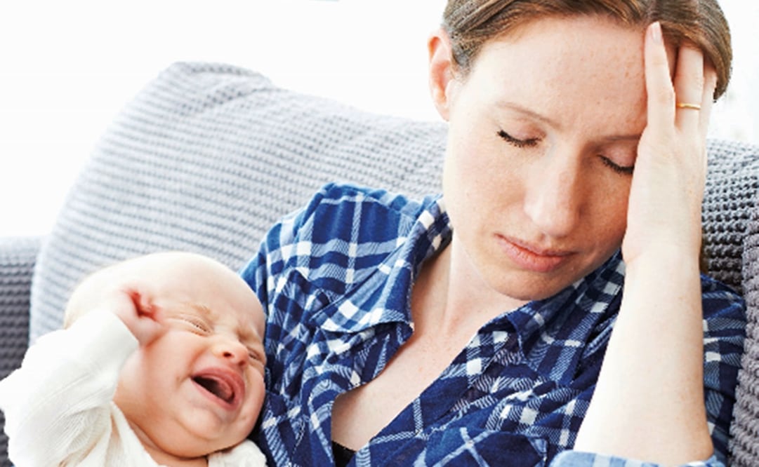 Imagen ilustrativa. Foto: Archivo, El Universal