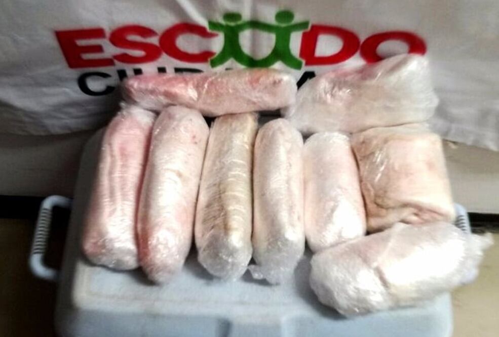 El buche de totoaba cuesta hasta 30 mil dólares en Asia, donde la utilizan para elaborar remedios medicinales y alimentos a los que se les atribuyen efectos afrodisiacos. (Foto: Especial)