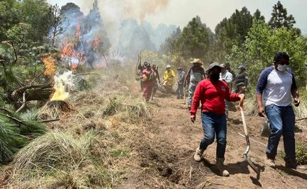 Piden apoyo de helicópteros con agua para controlar incendio en bosque de Santa María Mazatla