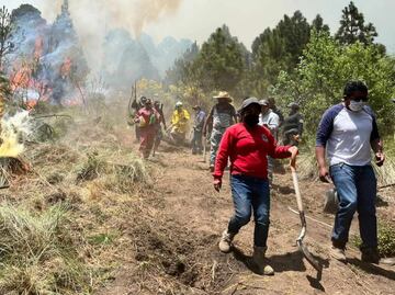 Incendios devastan 600 hectáreas de bosque en Jilotzingo; prevalece la hipótesis de que estos fuegos son provocados