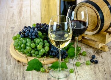 Cata de nuevos vinos con Enotelia