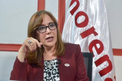 Polevnsky llama a suspender congresos distritales de Morena para evitar "desgracias"