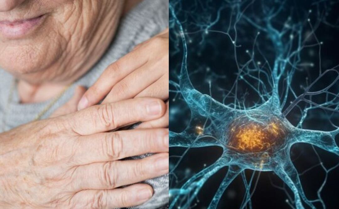 Revelaciones clave sobre la maduración neuronal. Fuente: Freepik.