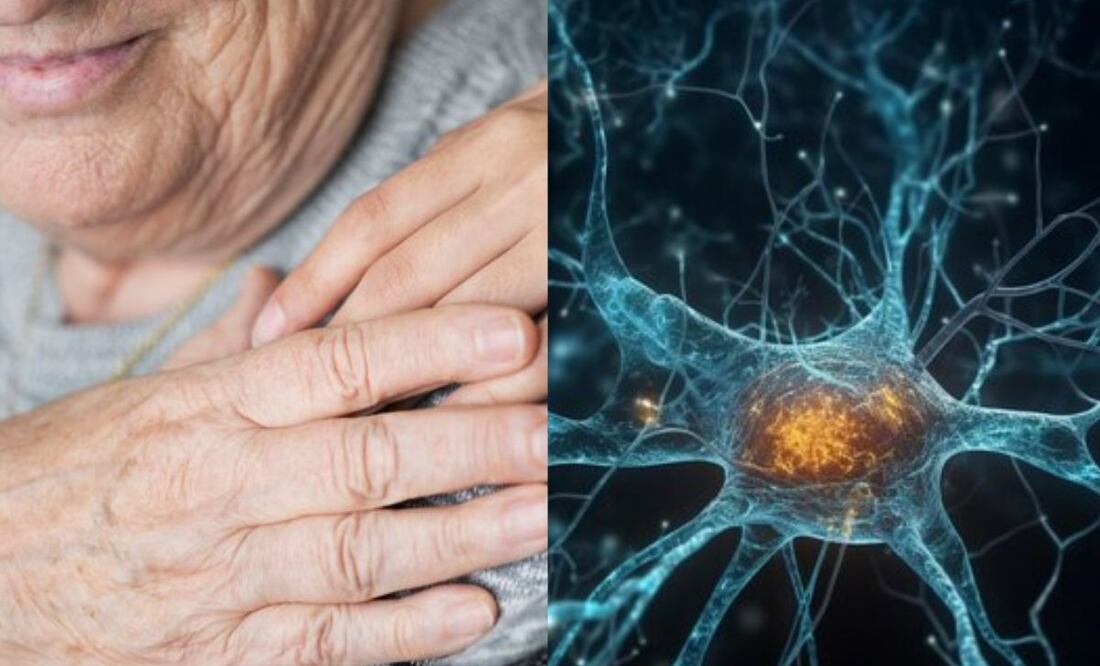 Revelaciones clave sobre la maduración neuronal. Fuente: Freepik.