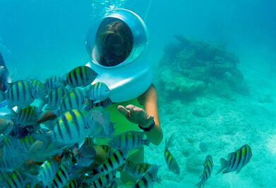 ¿Visitas Xcaret este verano? Aquí te decimos lo que debes saber antes de ir