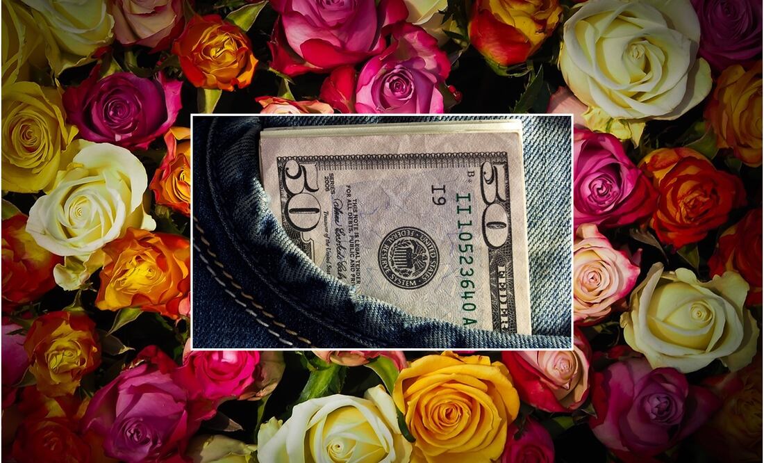 El peso está retomando la estabilidad y se aleja de la media móvil de 200 días ubicada en 17.28 unidades, la cual estuvo cerca de tocar el día de ayer, agregaron los analistas. Precio del dólar. Foto: Pixabay