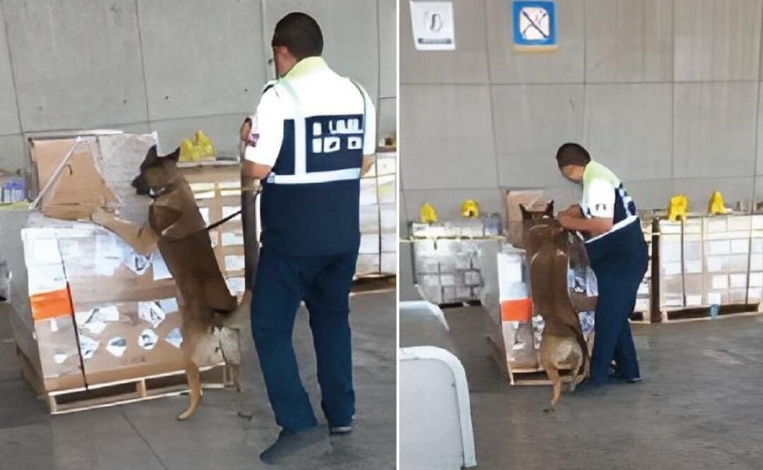 Foto Especial/El Universal/ La acción se realizó en uno de los recintos fiscalizados de la aduana del AICM