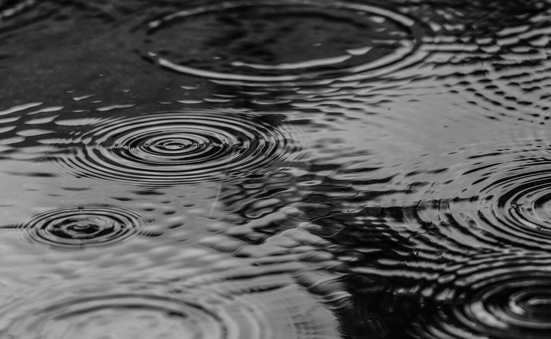 Rickki Mitchell estuvo ocho días extraviada en una zona repleta de fauna, entre ellas serpientes. Foto: Ilustrativa. Pixabay