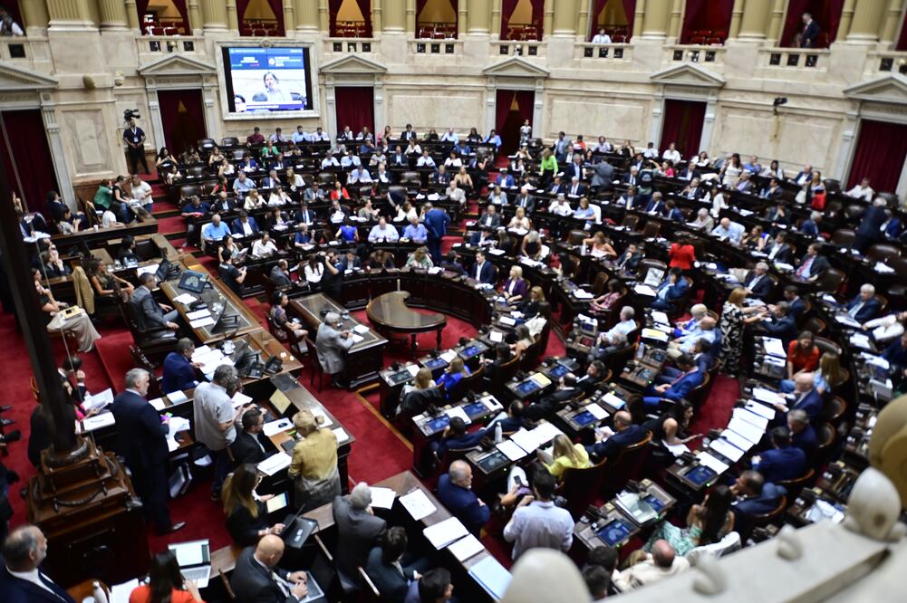 Cámara de Diputados durante el inicio de la discusión de los artículos de la "ley ómnibus" hoy, en Buenos Aires. Foto: EFE/ Matias Martin Campaya