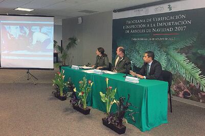 Profepa vigila entrada de árboles de Navidad