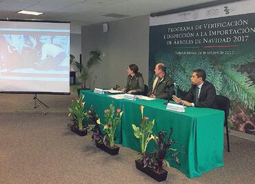 Profepa vigila entrada de árboles de Navidad