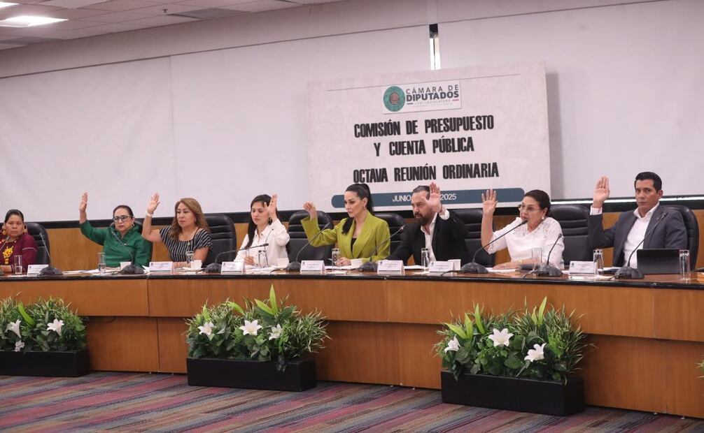 Avanza en Comisión de San Lázaro transferencia de facultades del Coneval al Inegi. Foto: Especial