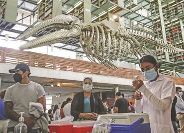 Sectur, ganadora en la repartición de la bolsa