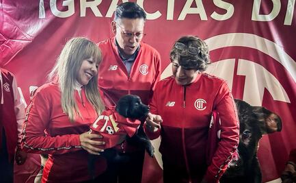 Gobierno del Edomex impulsa adopción de mascotas en Toluca; instalarán módulo en el estadio Nemesio Diez