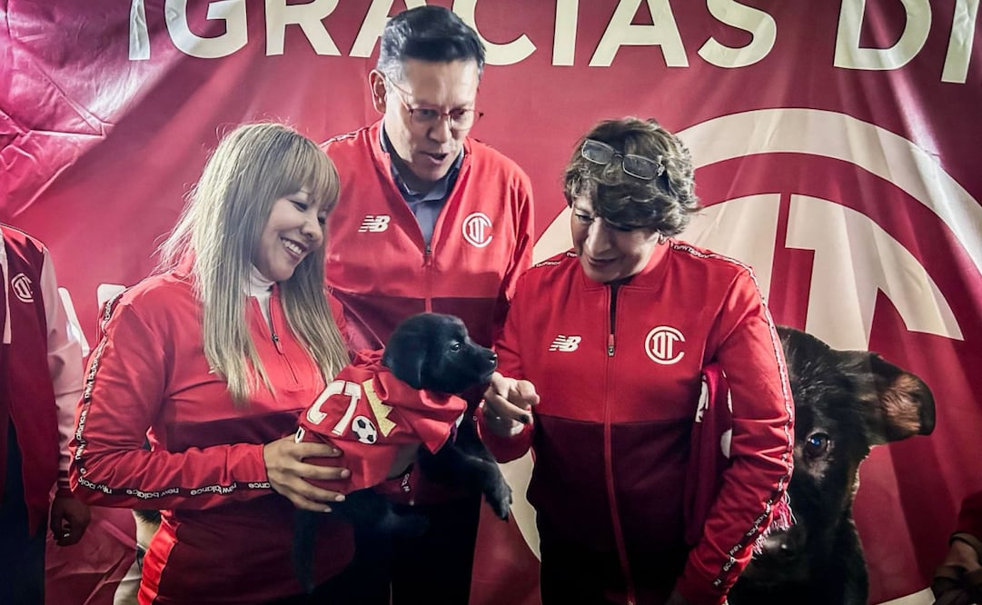 Gobierno del Edomex impulsa adopción de mascotas en Toluca; instalarán módulo en el estadio Nemesio Diez.
Foto: Especial.