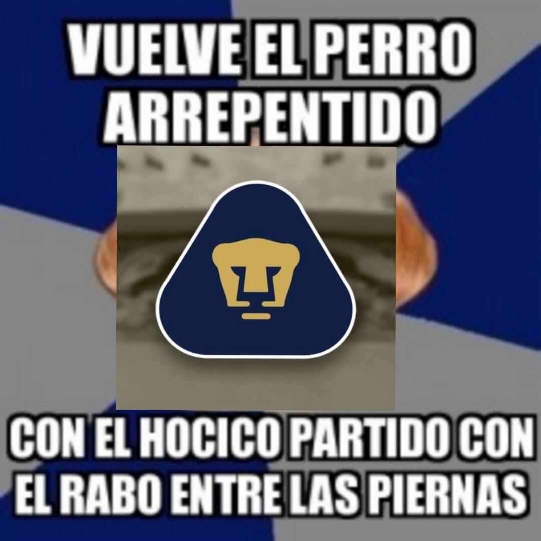 Pumas Memes