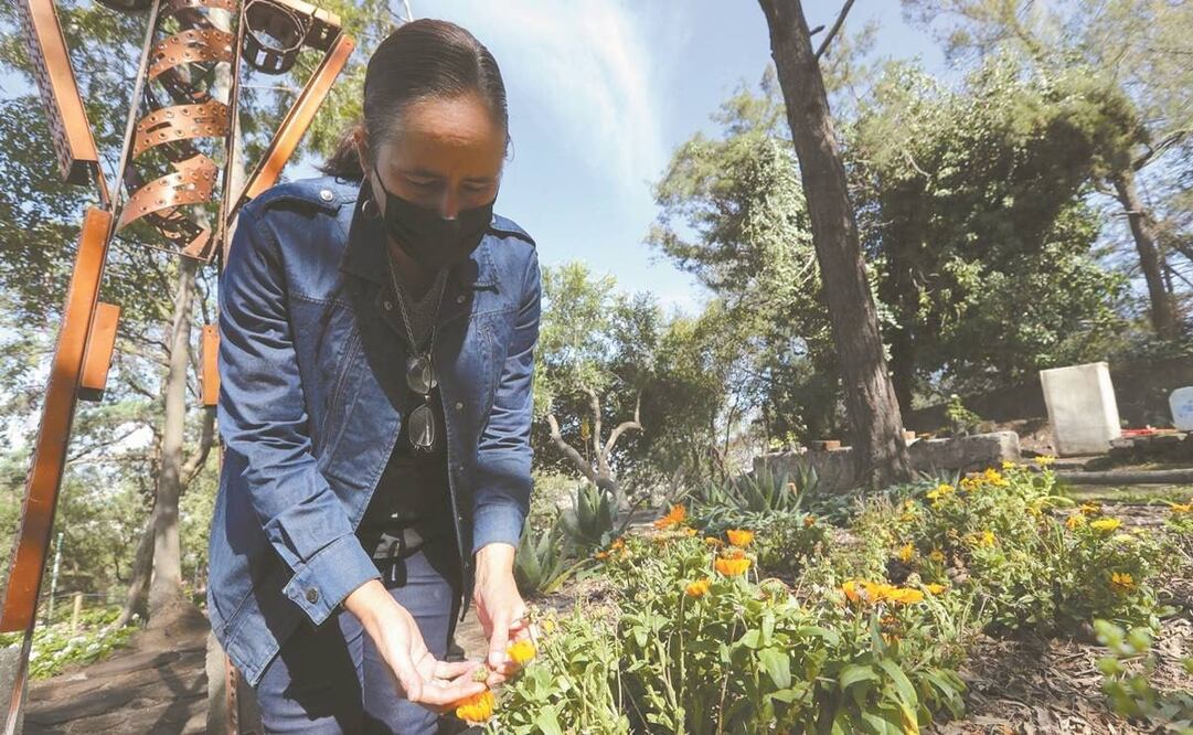 Para proteger a insectos y aves, en Toluca impulsan la creación de jardines especiales para expandir la flora y la fauna. Fotos: Jorge Alvarado/ EL UNIVERSAL.