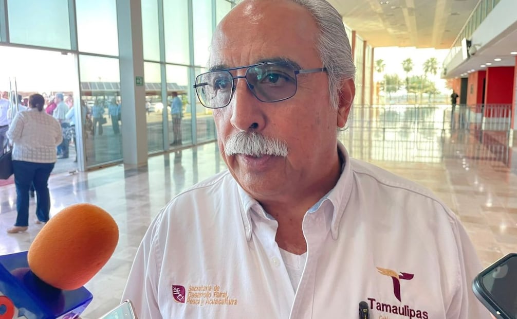 Tamaulipas liberará moscas estériles contra el gusano barrenador; distribuirán cinco millones por semana.
Foto: Especial.