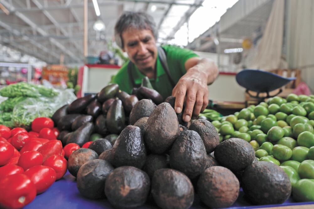 De acuerdo con los agricultores dedicados al aguacate, no hay suficiente producción del fruto, por lo que se prevé que su precio siga subiendo. Foto: ARCHIVO EL UNIVERSAL