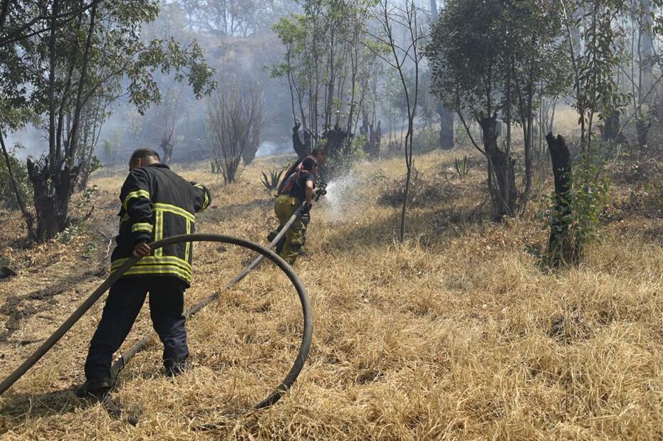 Bomberos trabajan para controlar el fuego. FOTOS: Especiales/ EL UNIVERSAL/