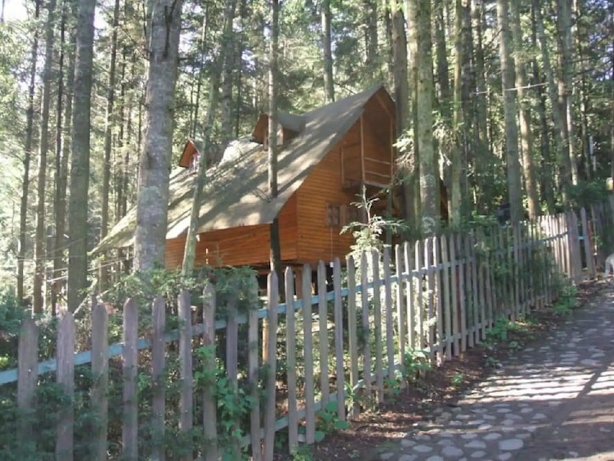 Cabañas con diversos espacios para descansar y relajarse. / Foto: Unsplash