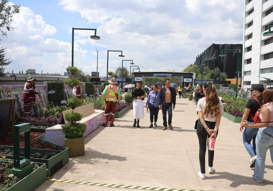 La tarde de este viernes se observó a personal del Gobierno realizando trabajos de jardinería en la zona. Foto: Gabriel Pano / EL UNIVERSAL