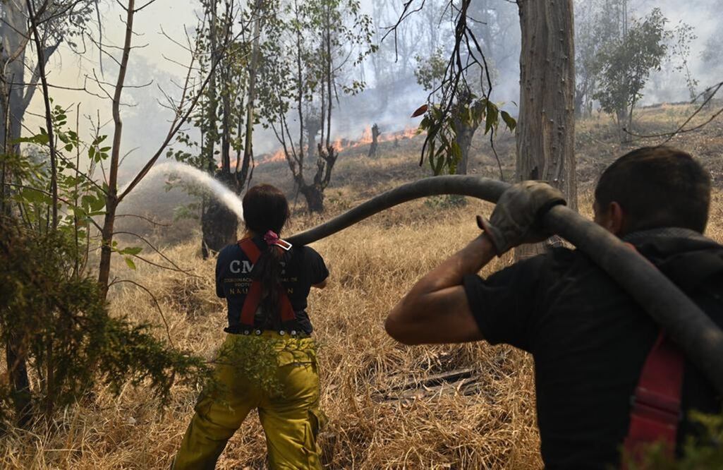 Bomberos trabajan para controlar el fuego. FOTOS: Especiales/ EL UNIVERSAL/