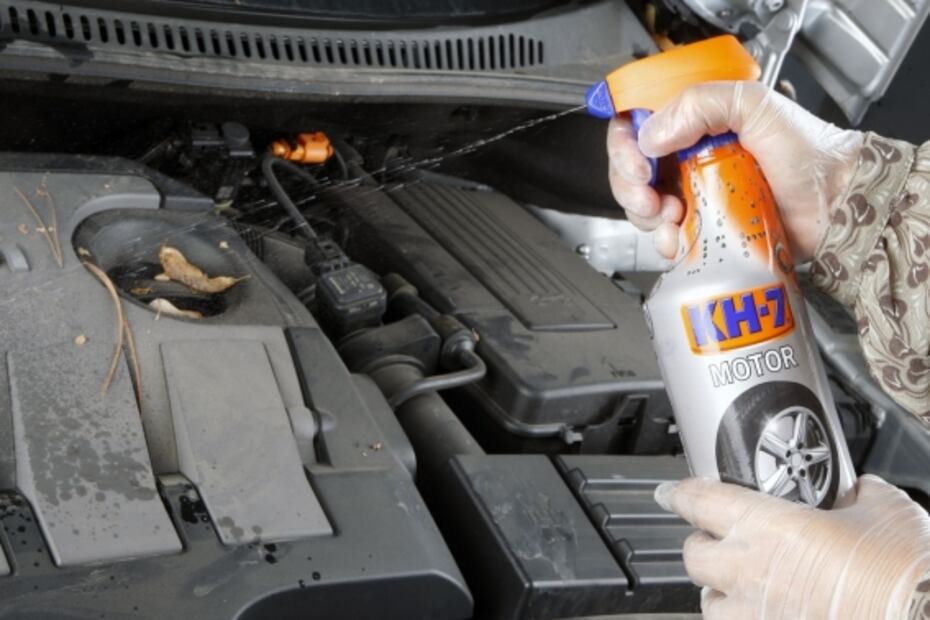 Cómo limpiar el motor del auto en nueve pasos