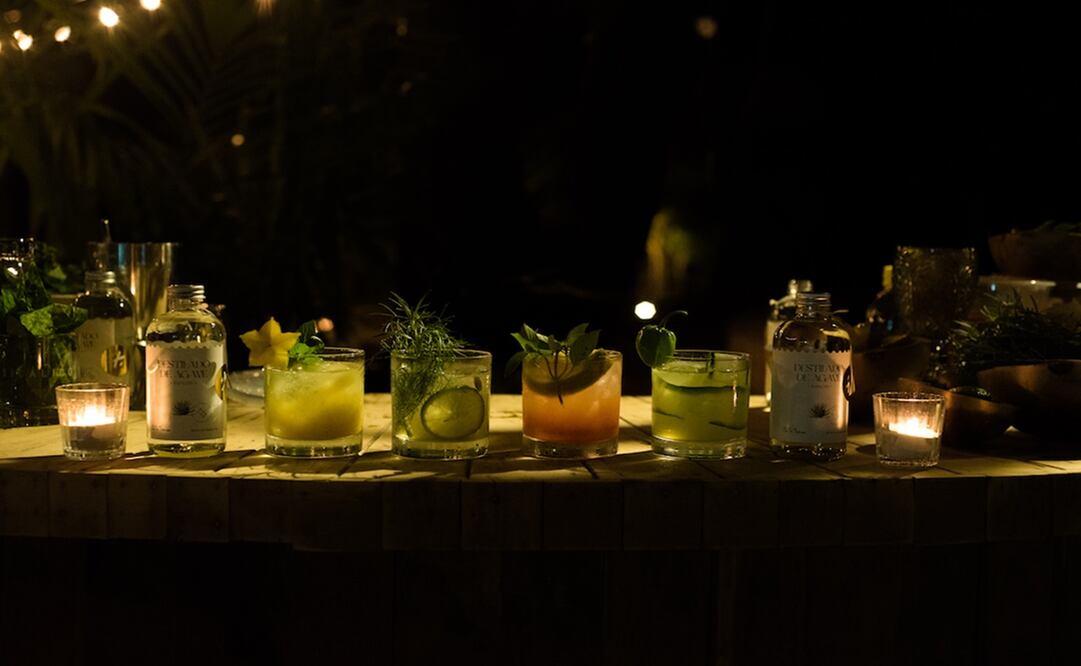 Fotos: @Arely.Pereira