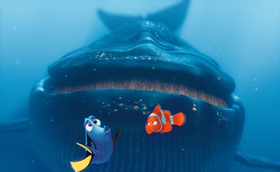 "Buscando a Nemo". Foto: Archivo El Universal