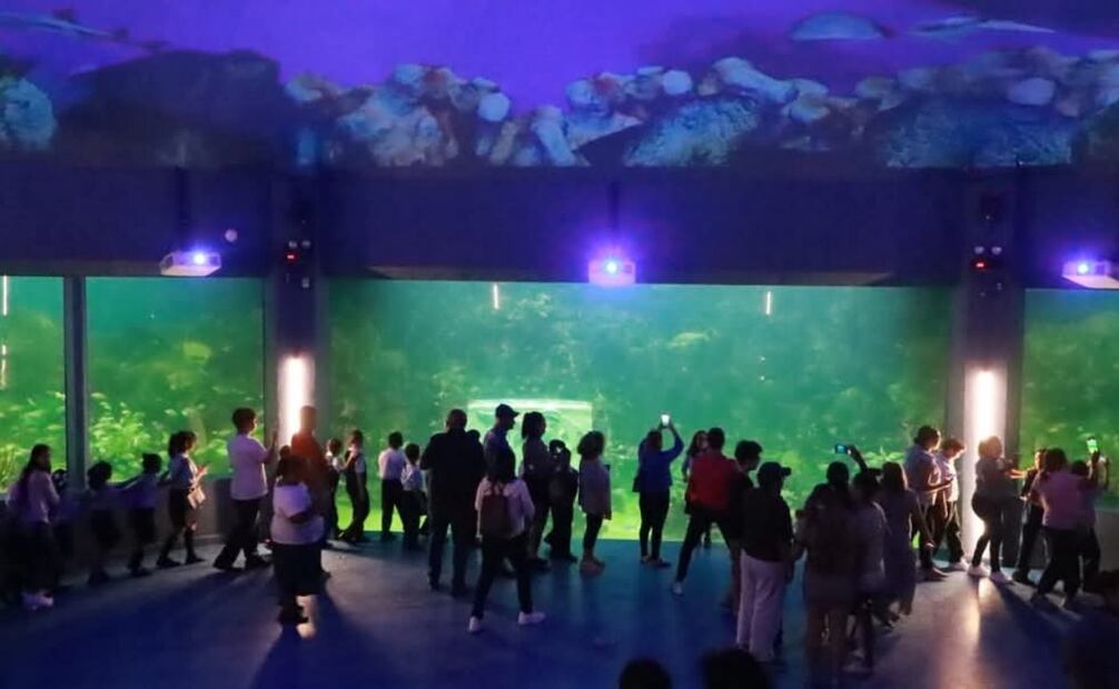 Irregularidades en remodelación de Acuario de Veracuz  (02/10/2025). Foto: Especial