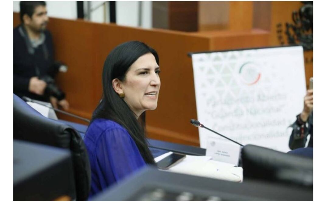 Foto: PAN en el Senado 